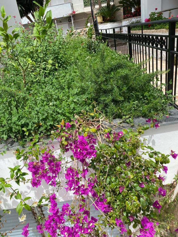 Apartamente Berti'S Garden Sarande Ngoại thất bức ảnh