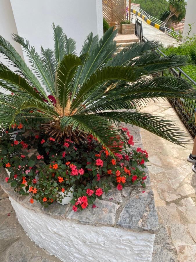 Apartamente Berti'S Garden Sarande Ngoại thất bức ảnh